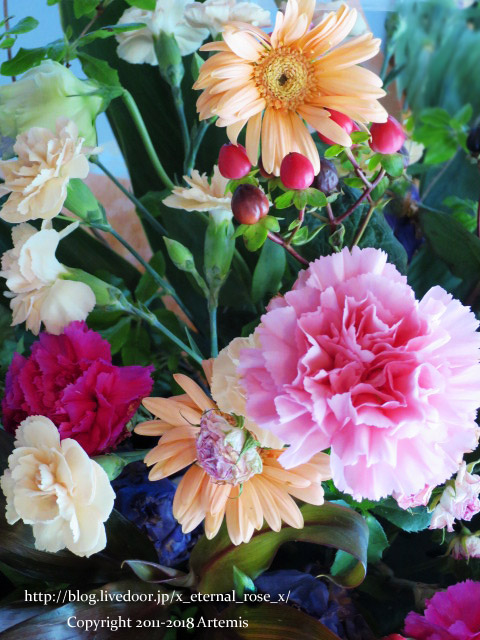 17.9.4.1 神武橋  (22)