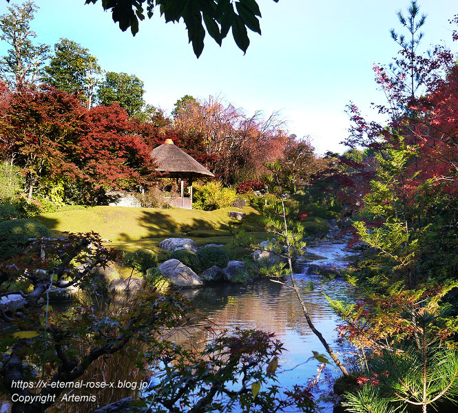 19.11.23.7 妙心寺 退蔵院  (125)