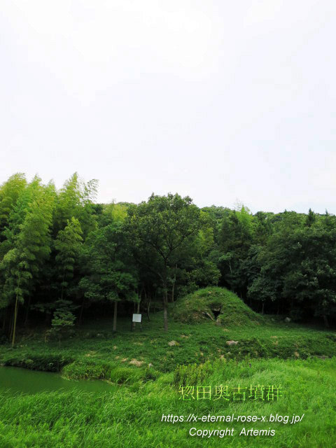 17.7.28.2 惣田奥古墳群 (4)