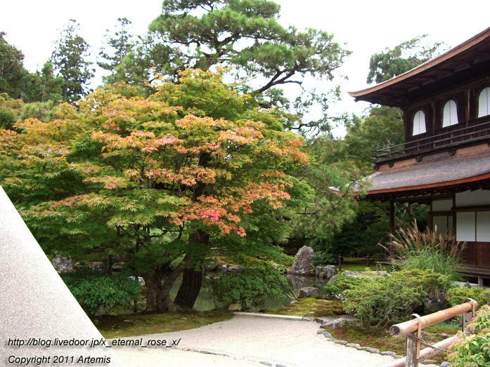 10.10.19.1 銀閣寺 (12)