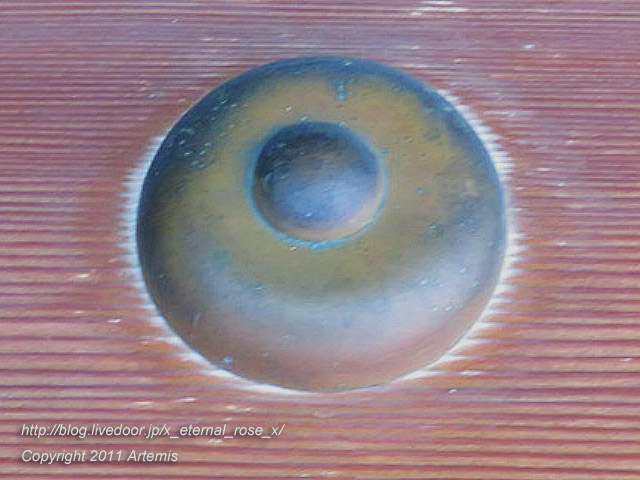 20.10.31.13. 仙巌園  御殿  (6)