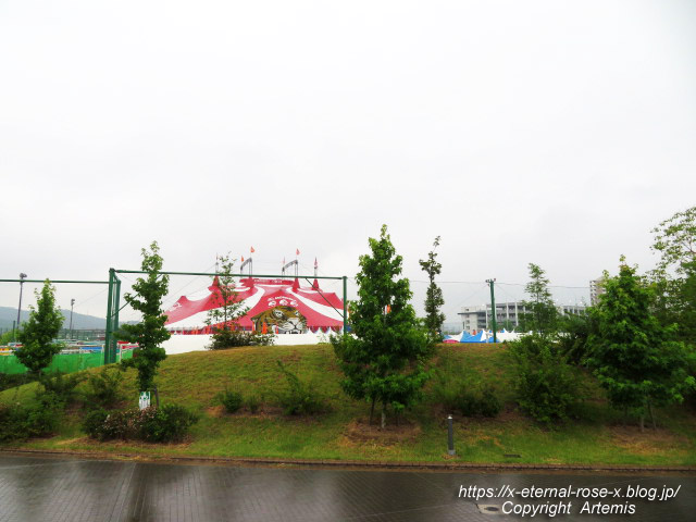 22.7.8 木下サーカス  (1)