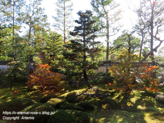 19.11.23.4 大雄院 (35)