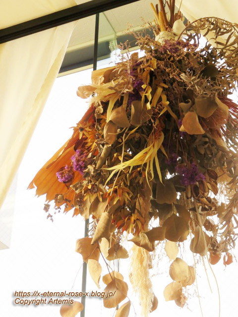 23.12.28 紅茶専門店 coco Brunch (13)
