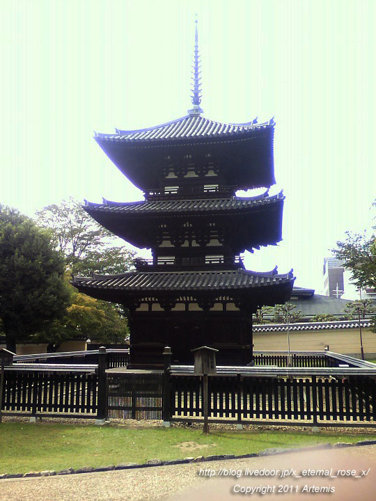 10.10.17.1 興福寺 (18)