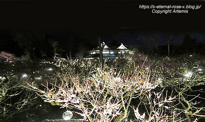 23.3.3. 北野天満宮 (51)