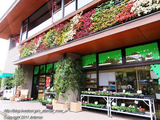 19.11.24.9 府立植物園植物園会館売店 (33)