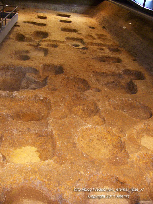 10.10.23.3 平城宮跡遺構展示館  (6)