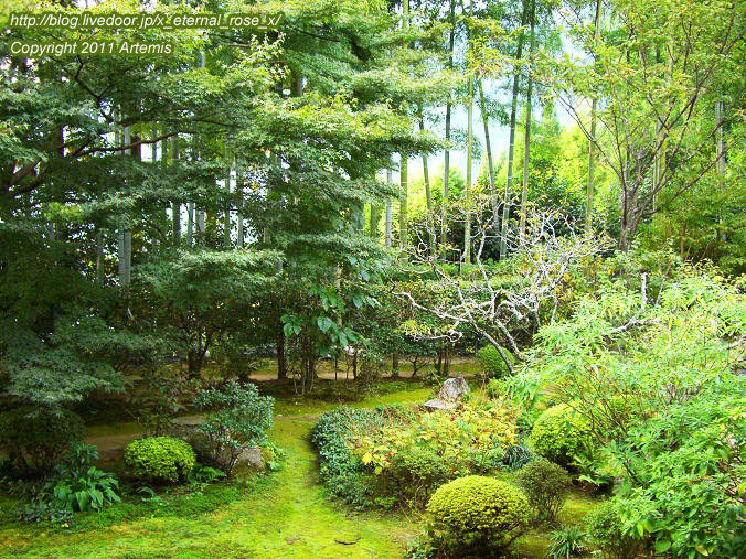 10.10.18.5 宝泉院  (11)