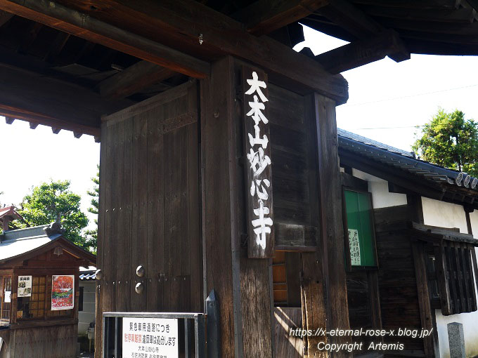 19.11.23.3 桂春院 (123)