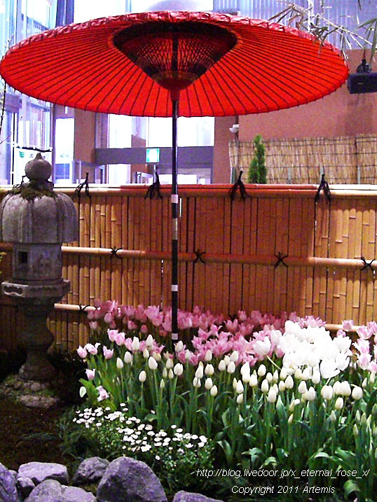 10.4.18 チューリップ四季彩館  (22)