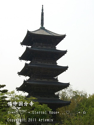 イメージ 3