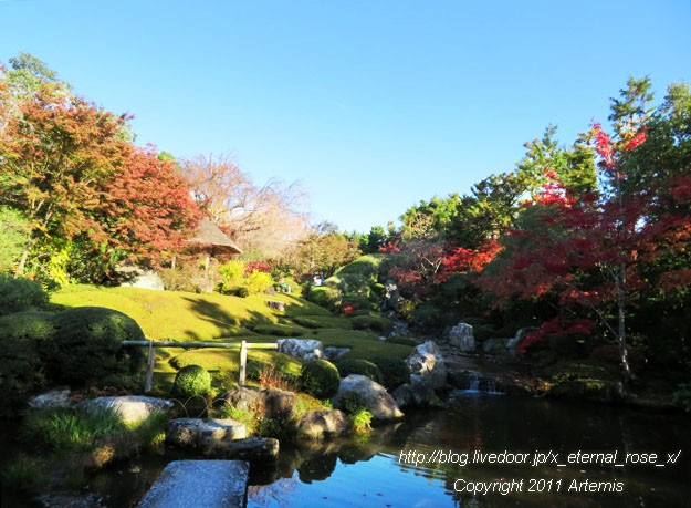 19.11.23.7 退蔵院 (2)