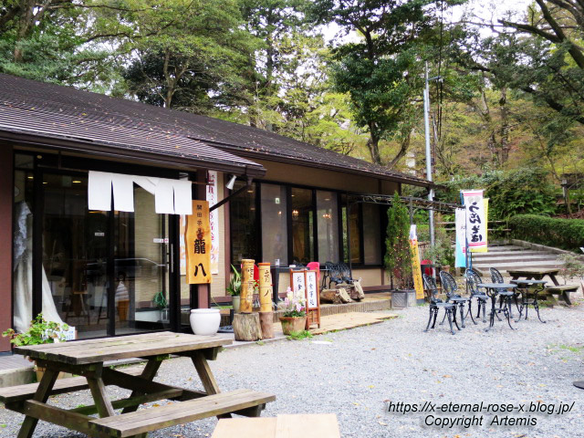 17.4.10..8 龍八 (11)