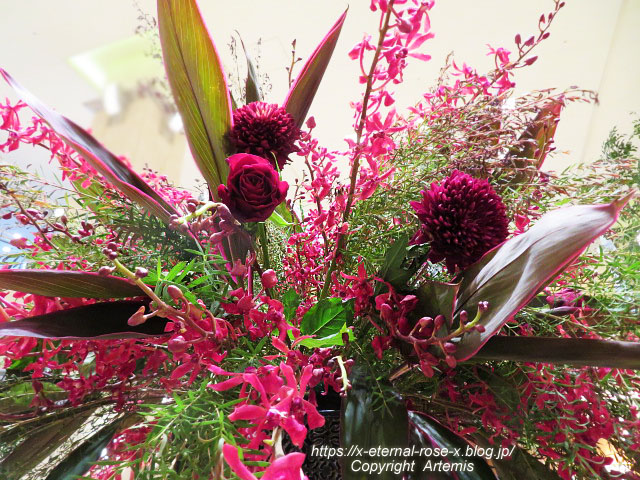 21.11.14 ホテルグランヴィア岡山 備彩  (88)