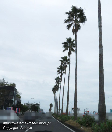20.11.1.1 青島  (1)