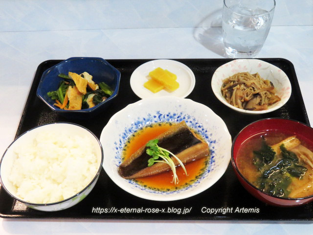 23.3.7.3 ダイニングキッチンみやこ (19)