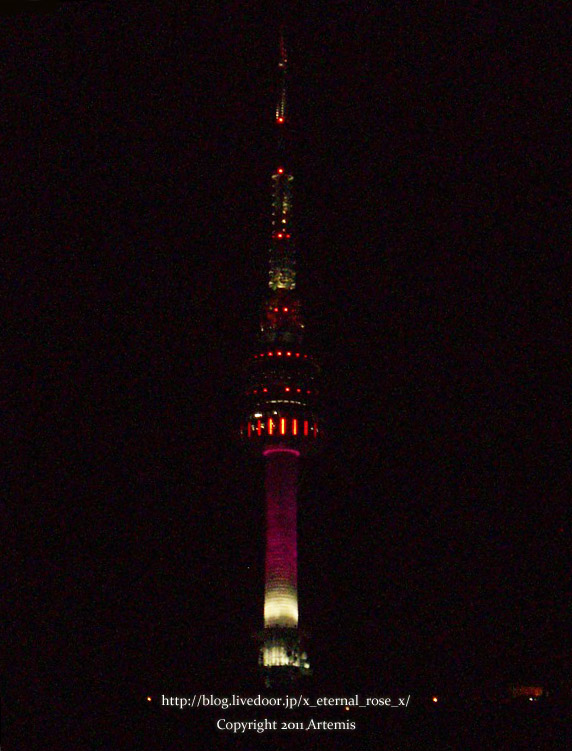 9.11.12.8 Nソウルタワー  (2)