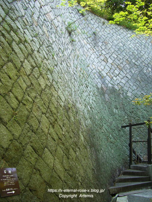 11.5.5.3 旧野﨑家住宅 野﨑家塩業歴史館  (45)