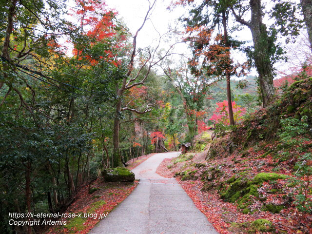 19.11.27 高雄 神護寺 (36)