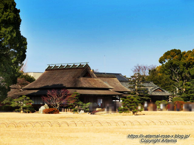 23.1.1 岡山後楽園  (110)