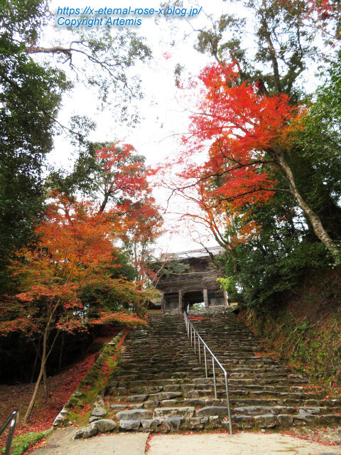 19.11.27 高雄 神護寺 (44)