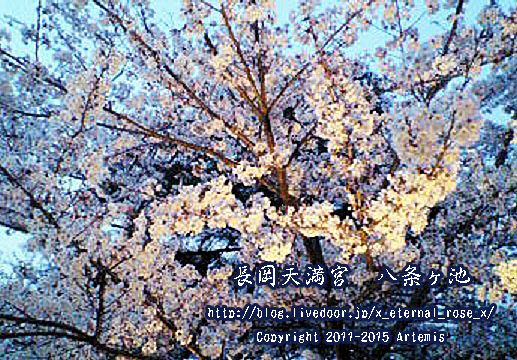 1 長岡天満宮 (2)