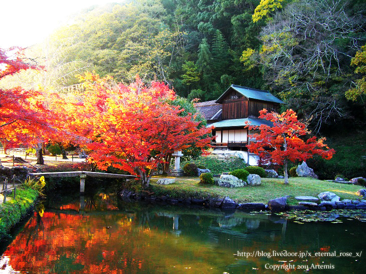 13.11.23.6 近水園  (10)