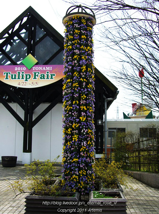 10.4.18 チューリップ四季彩館  (46)