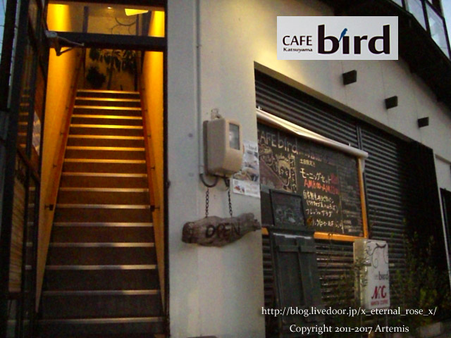 11 カフェバード  (7)