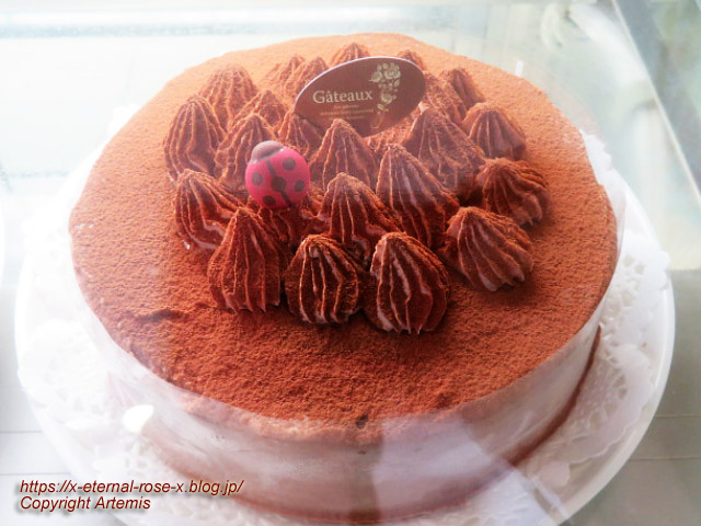 22.12.25 サフラン  (7)