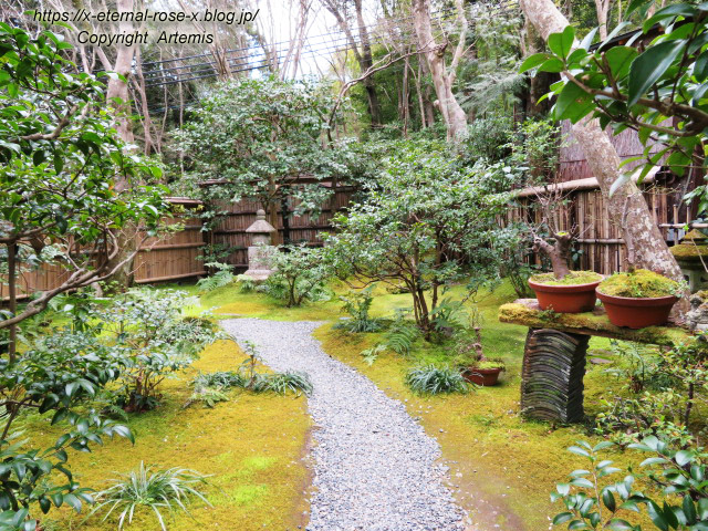 20.3.19.9 祇王寺  (17)