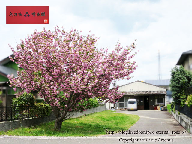 27 名刀味噌 (1)
