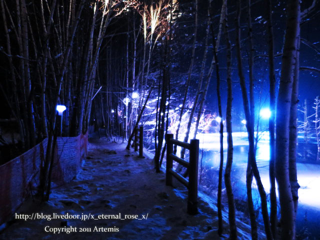 18.11.21.9 青い池  (11)