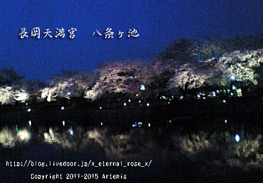 1 長岡天満宮 (5)