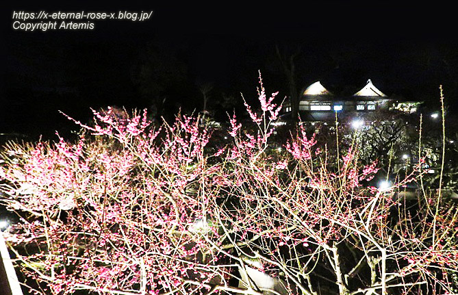 23.3.3. 北野天満宮 (72)