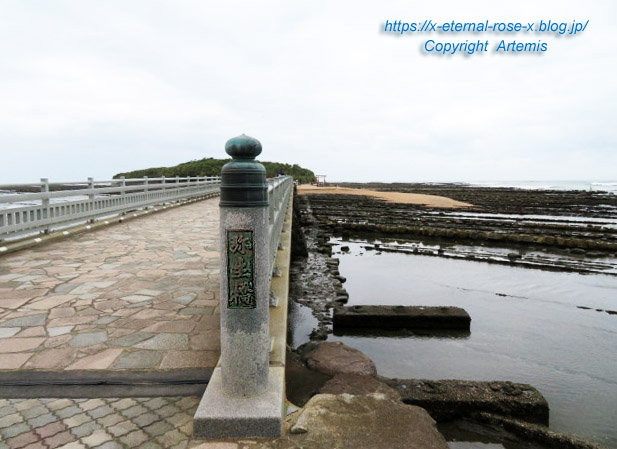 20.11.1.2 青島  (16)