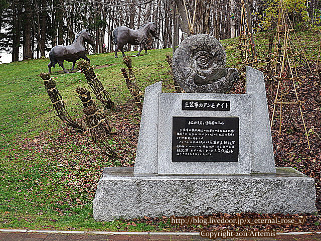 18.11.21.7 岩見沢サービスエリア下り もりもと 雪鶴   (6)