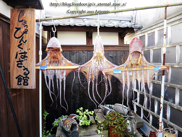 18.6.16.5 しょっぴんぐばさーる館 (14)