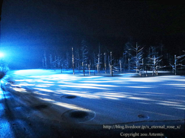 18.11.21.9 青い池  (70)