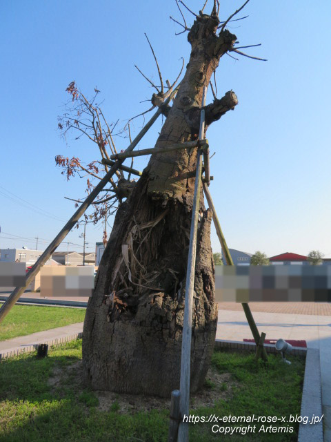 22.5.3.8 ドンレミー岡山店  (25)