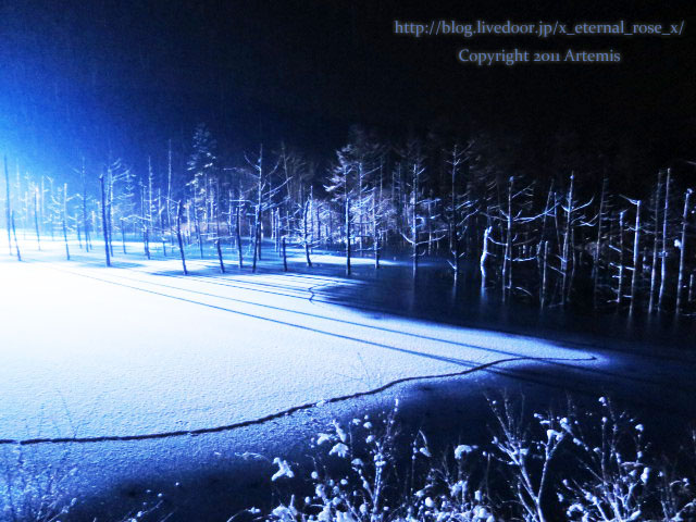 18.11.21.9 青い池  (14)