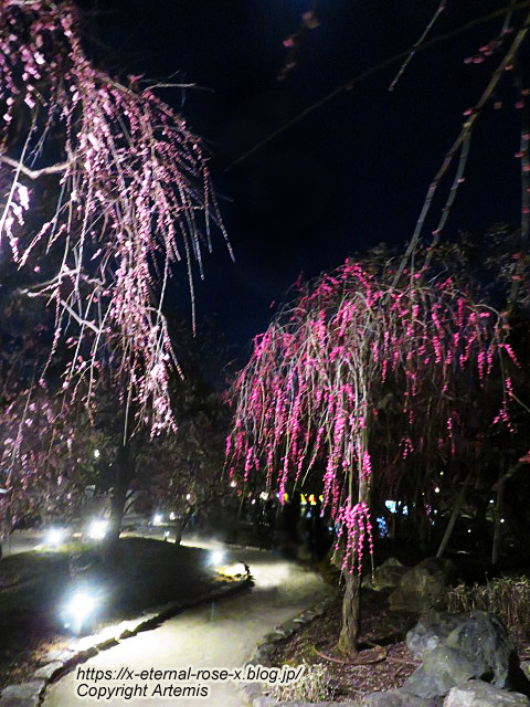 23.3.3. 北野天満宮 (34)