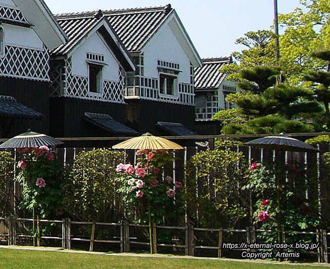 11.5.5.3 旧野﨑家住宅 野﨑家塩業歴史館 (0)