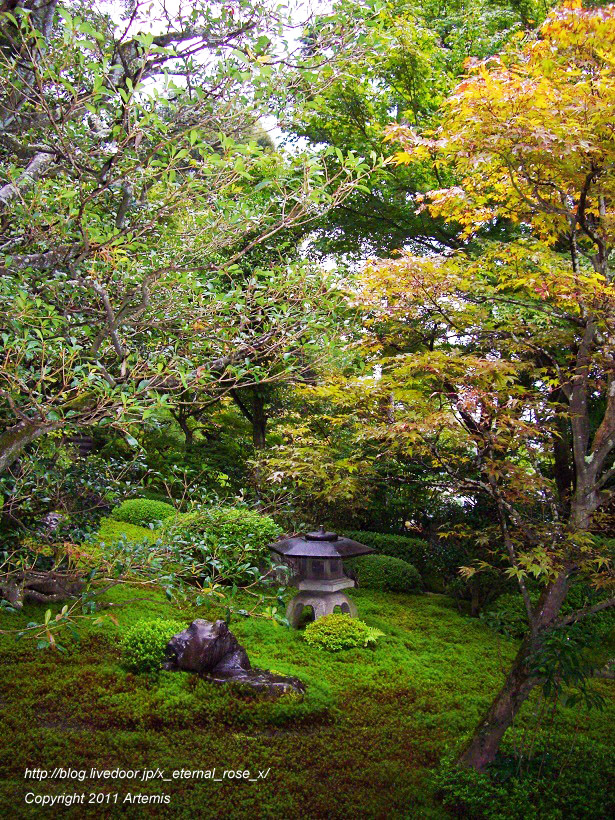 10.10.24.4 鈴虫寺 (18)