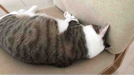 FullSizeRender