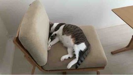 FullSizeRender