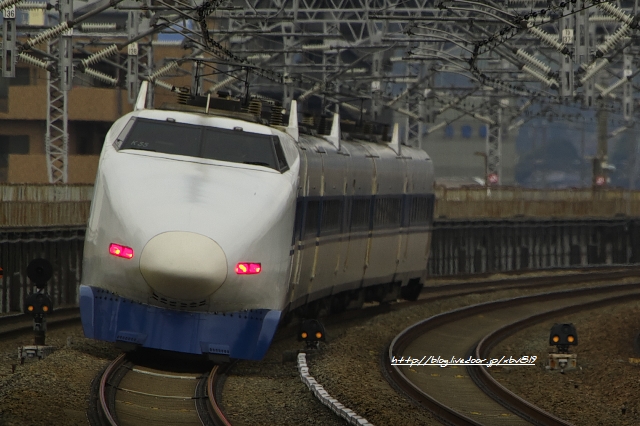 8Q4T4244