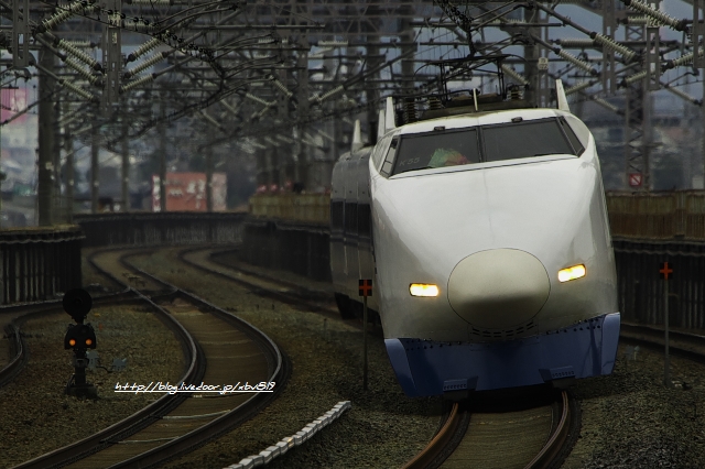 8Q4T4223