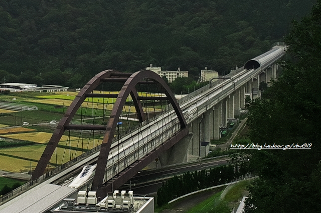 8Q4T9485